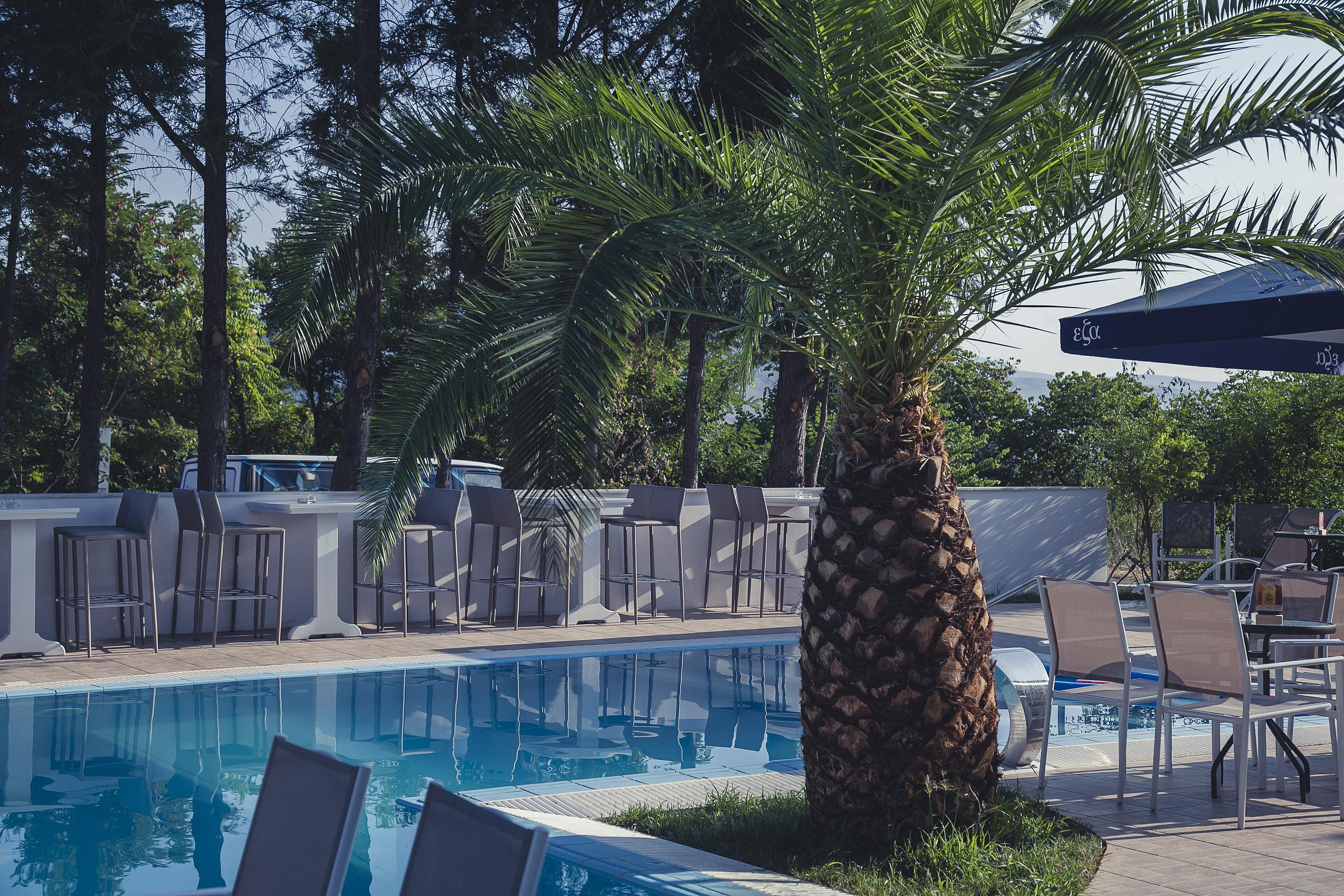 Hotel Philippos Levádeia المظهر الخارجي الصورة